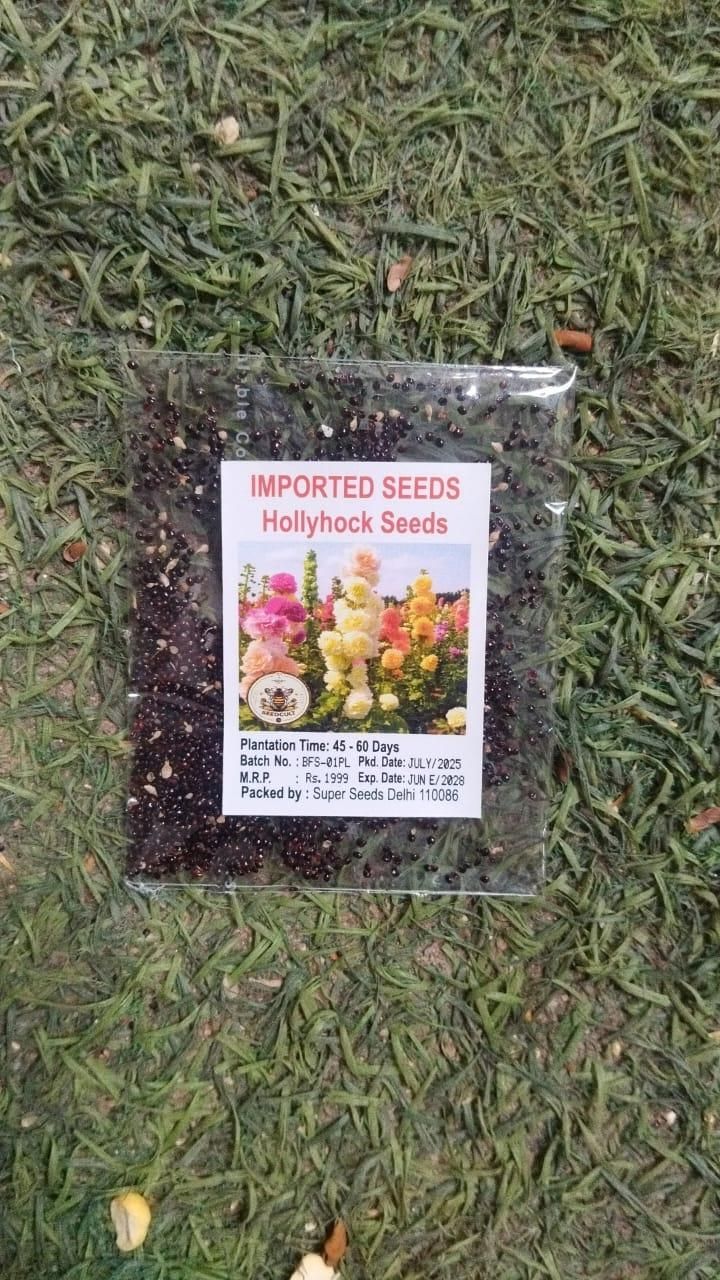 Magic Hollyhocks